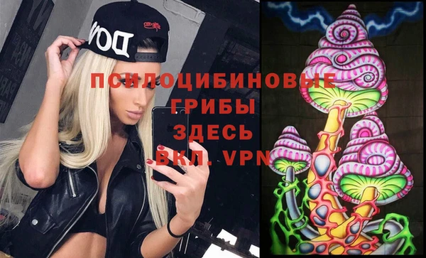 бошки Новодвинск