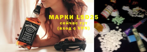 бошки Новодвинск